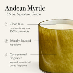 LAFCO Andean Myrtle wax close-up, showing rich texture and renewable soy for steady fragrance.