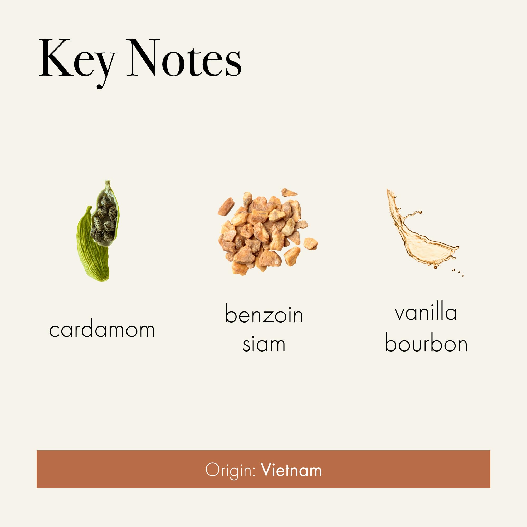 LAFCO New York Signature Candle Benzoin Siam close-up in a hand-blown glass vessel