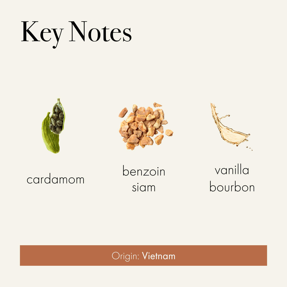 LAFCO New York Signature Candle Benzoin Siam close-up in a hand-blown glass vessel