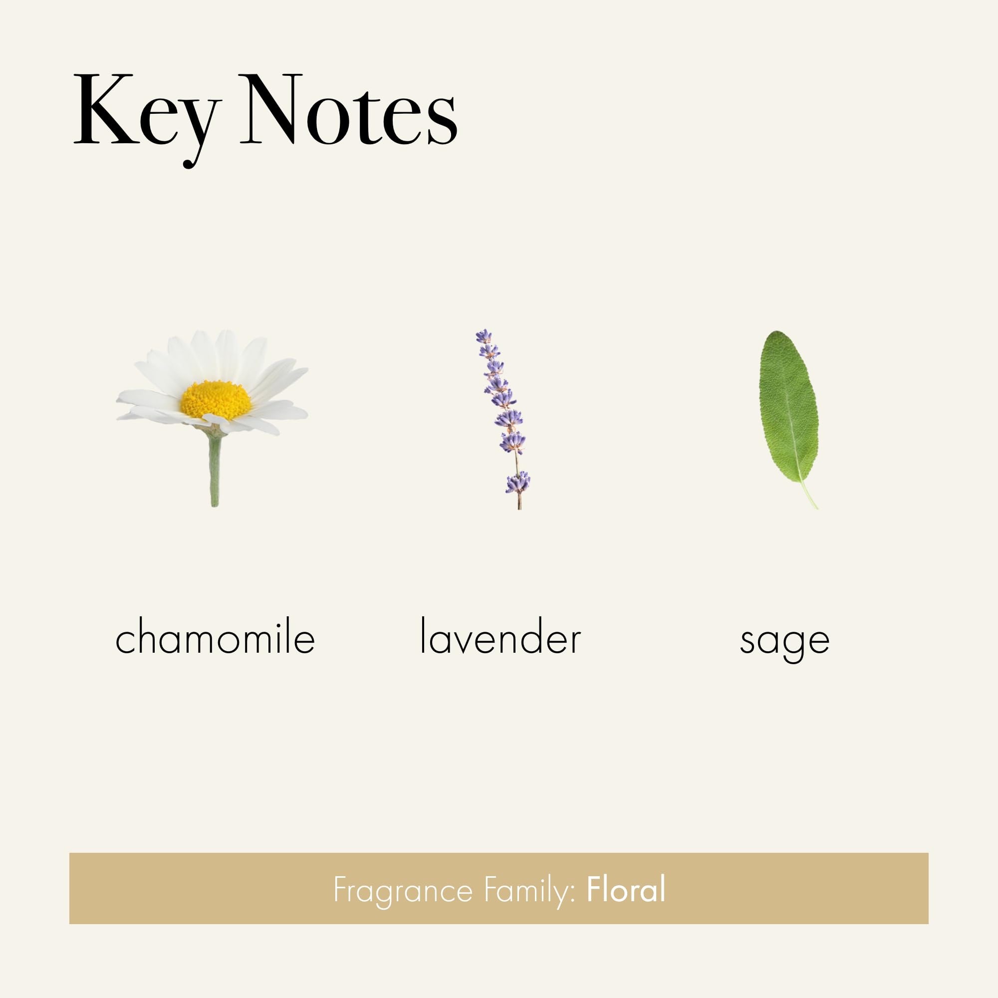 LAFCO New York Signature Candle Chamomile Lavender label closeup with premium aesthetics for bedside tables.