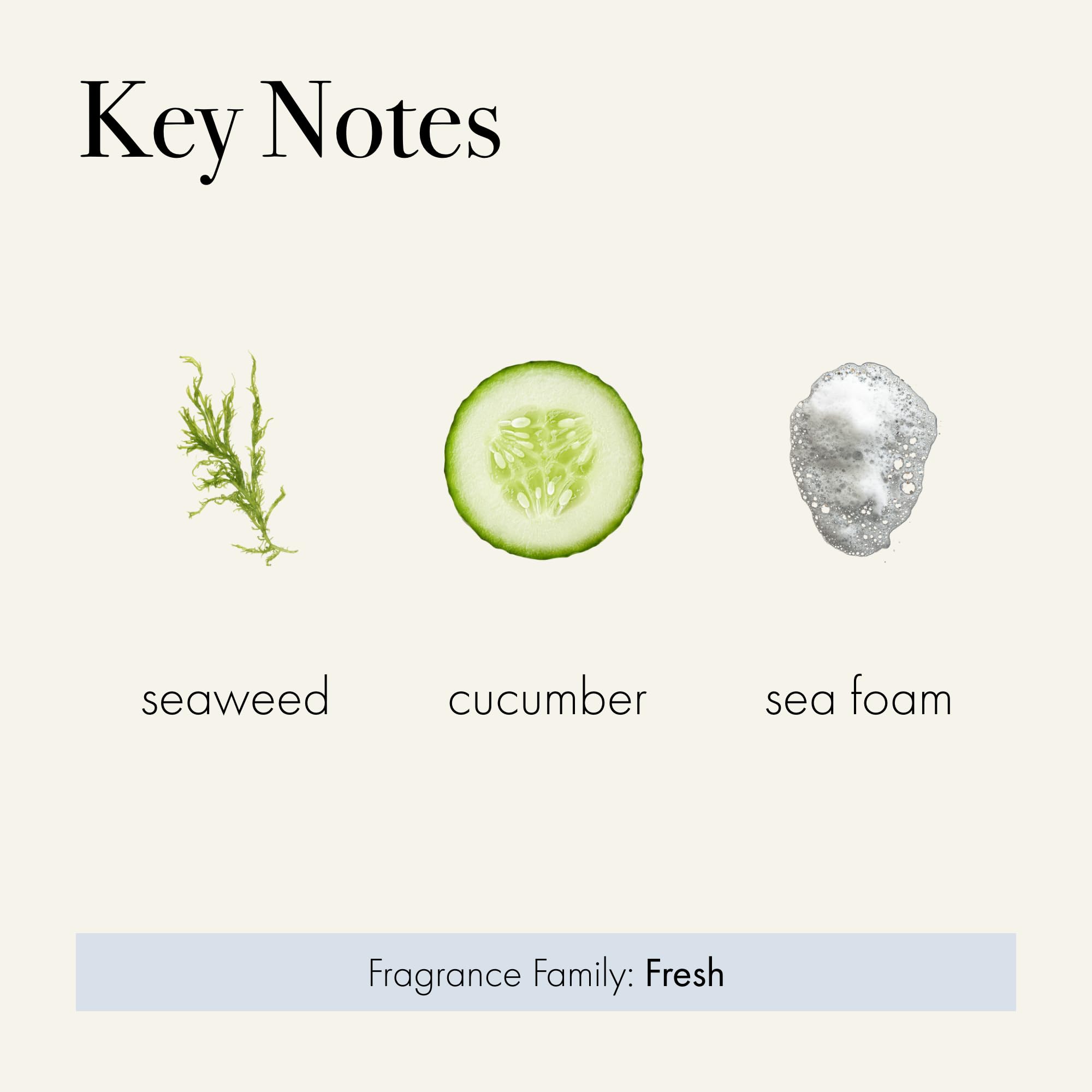 LAFCO New York Fog & Mist close-up reveals fragrance diffusion and notes of sea breeze