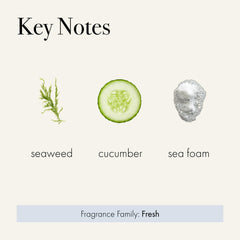 LAFCO New York Fog & Mist close-up reveals fragrance diffusion and notes of sea breeze