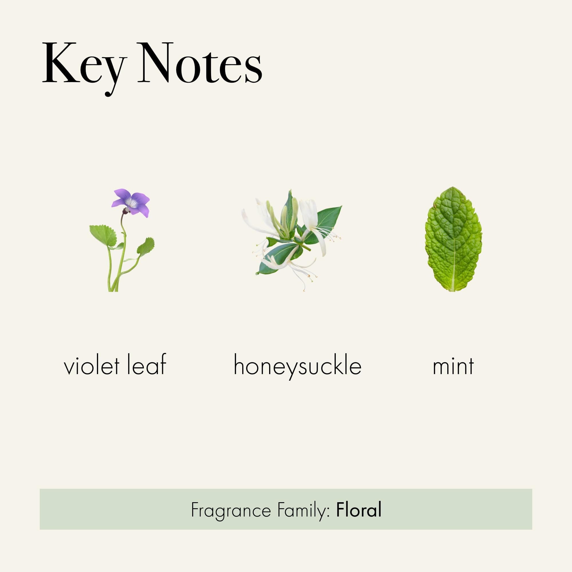 LAFCO New York Signature Candle in a greenhouse-inspired scent profile with Wild Honeysuckle