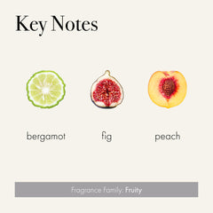LAFCO New York Signature Candle Paradiso Fig fragrance notes highlight Sicilian bergamot and ripe peach.