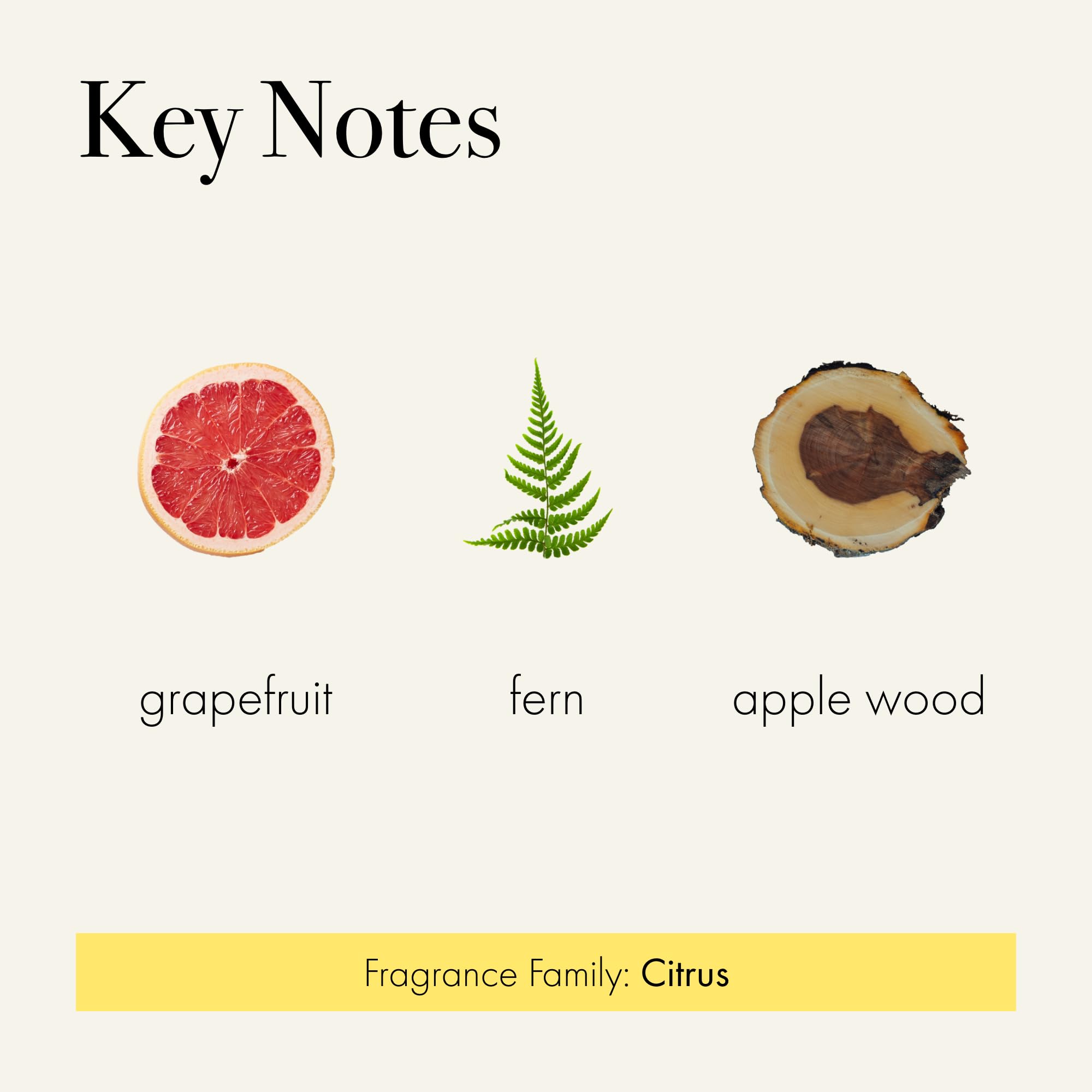 Label features brand and notes, signaling premium home fragrance quality.