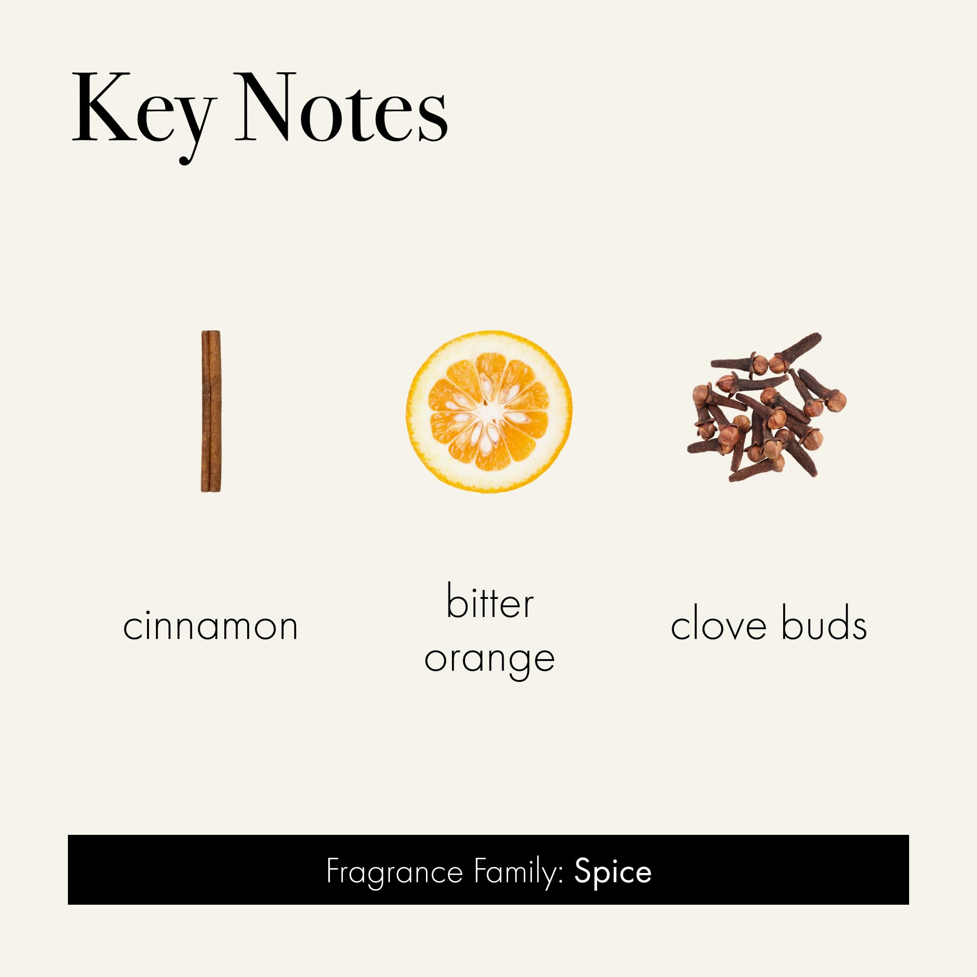 LAFCO New York warm cinnamon hues creating cozy holiday ambiance in a room.