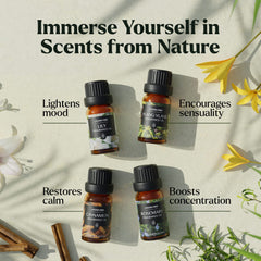 Lagunamoon scents suitable for candles, soaps, and DIY crafts