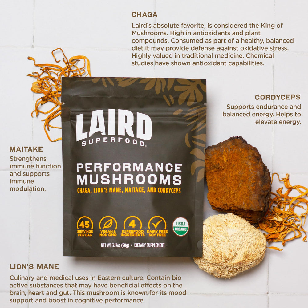 Laird Superfood mushroom blend bowl ready to mix into recipes.