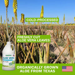 Land Art Aloe Vera Juice pour into water – blends smoothly for digestive wellness on the go.