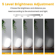 LASTAR light therapy lamp wall-mountable for flexible placement