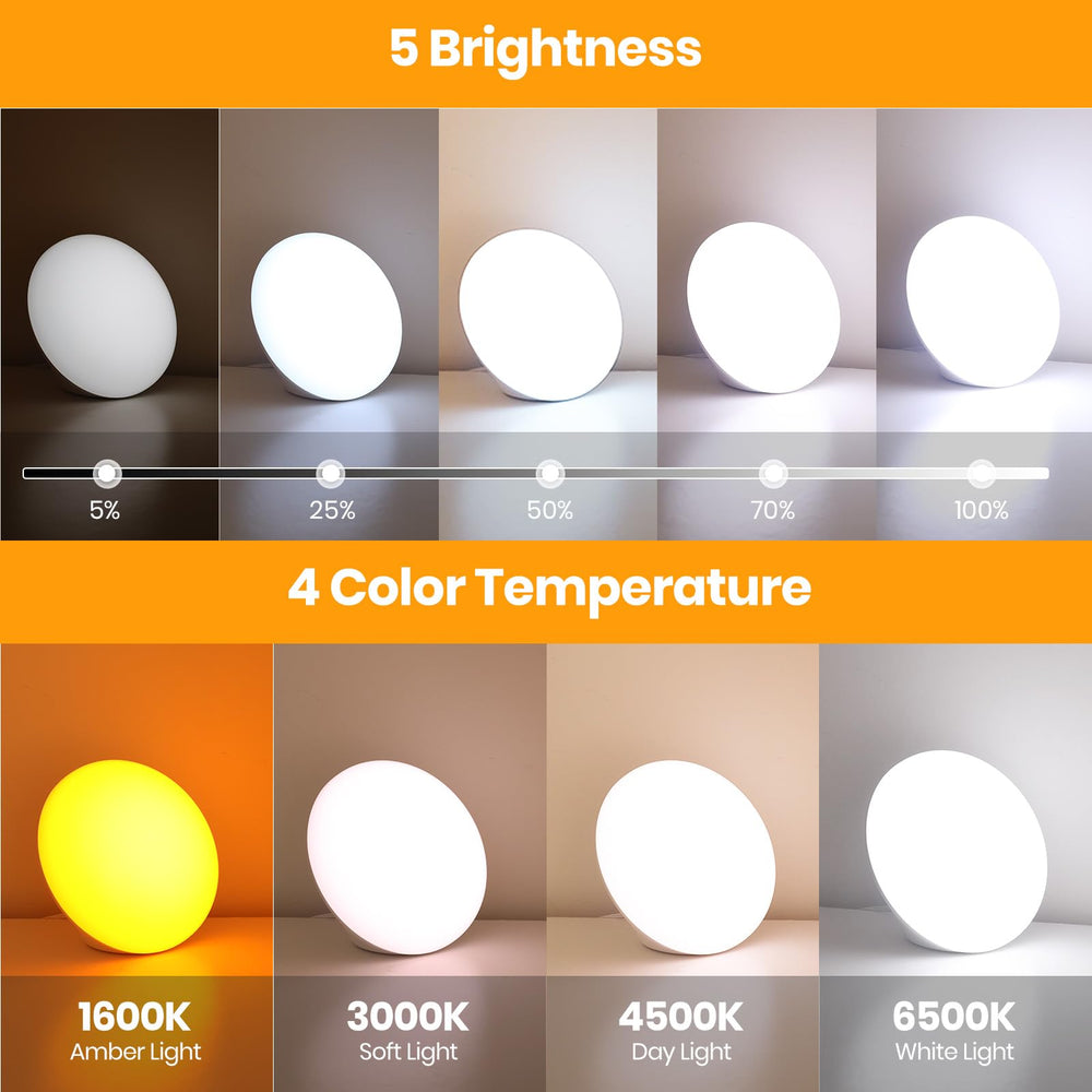 Lastar Sun Lamp features timer and memory for quick setup.
