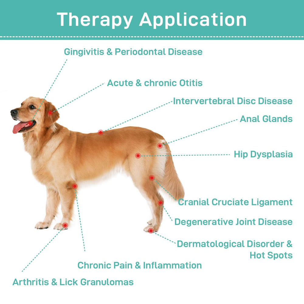 LASWHGDPET portable handheld design for convenient pet therapy