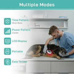 LASWHGDPET safe LLLT therapy device with no heat or vibration for dogs