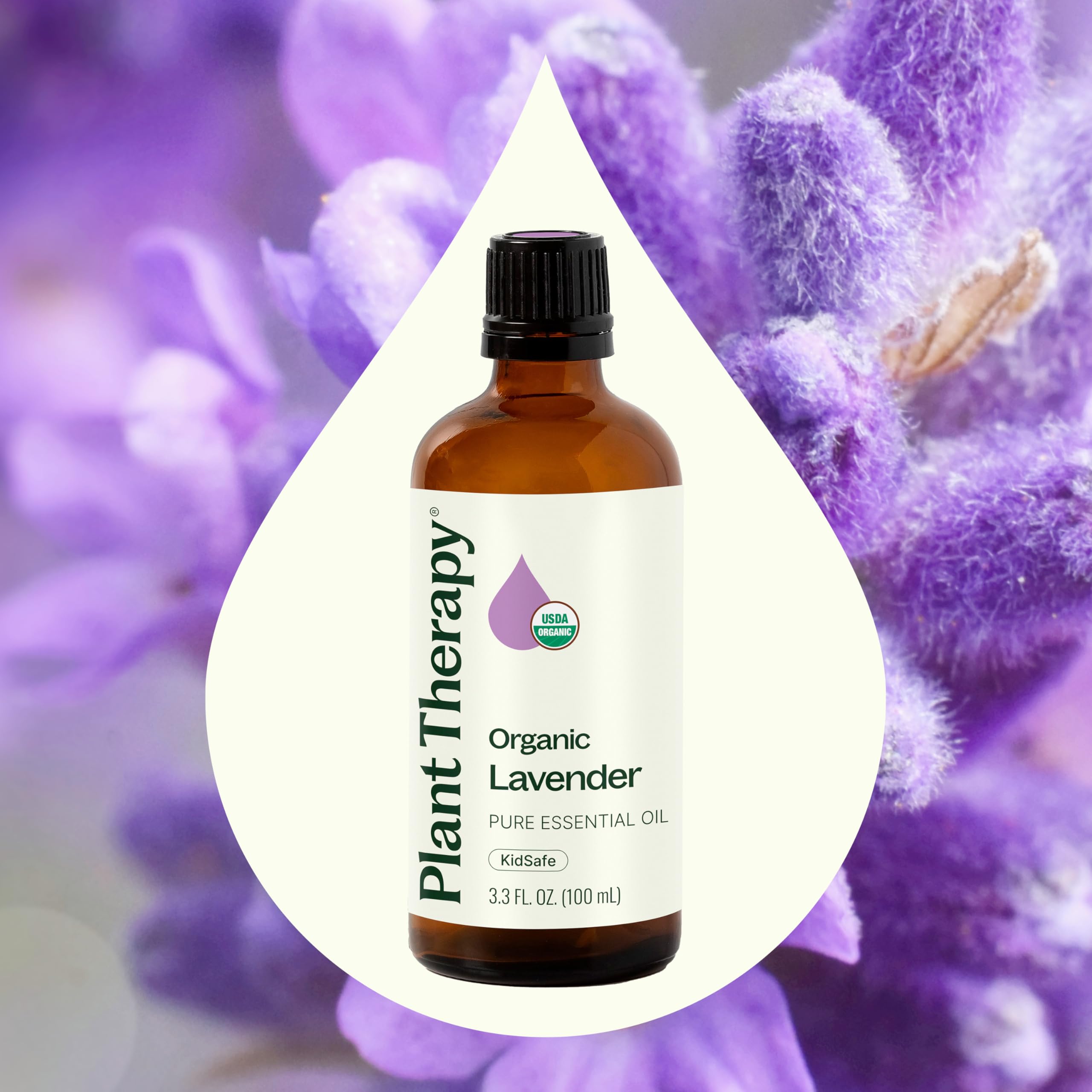 Lavender blooms and leaves with Plant Therapy branding for natural aroma.