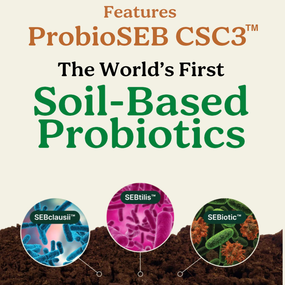 Best Days Formula capsules close-up showing probiotic blend for gut balance.