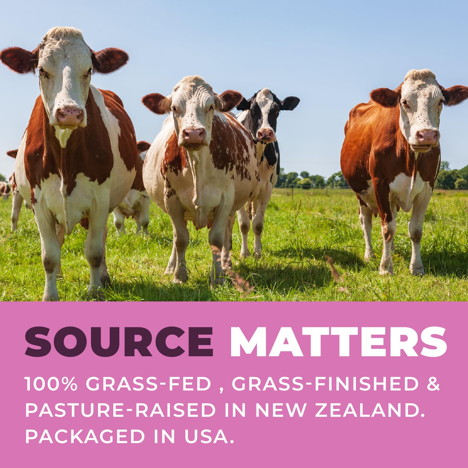 Left Coast Performance beef kidney and liver trio illustrates nutrient-rich organ mix for potential energy.
