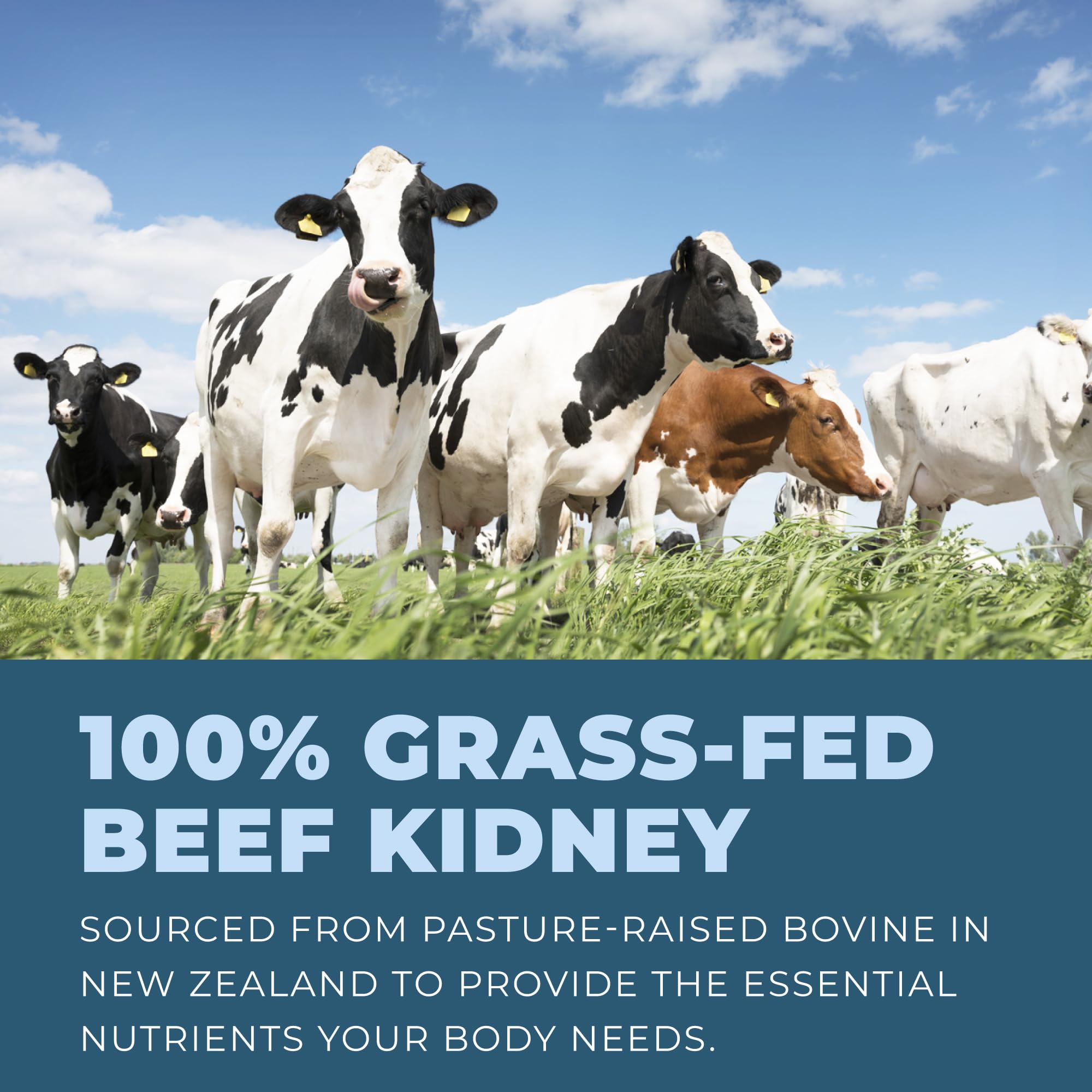 Left Coast Performance New Zealand pasture-raised sourcing symbol indicating high-quality ingredients.