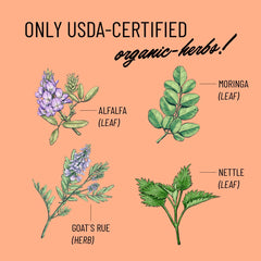 Legendairy Milk Cash Cow herbal blend picture shows moringa, alfalfa, and nettle.