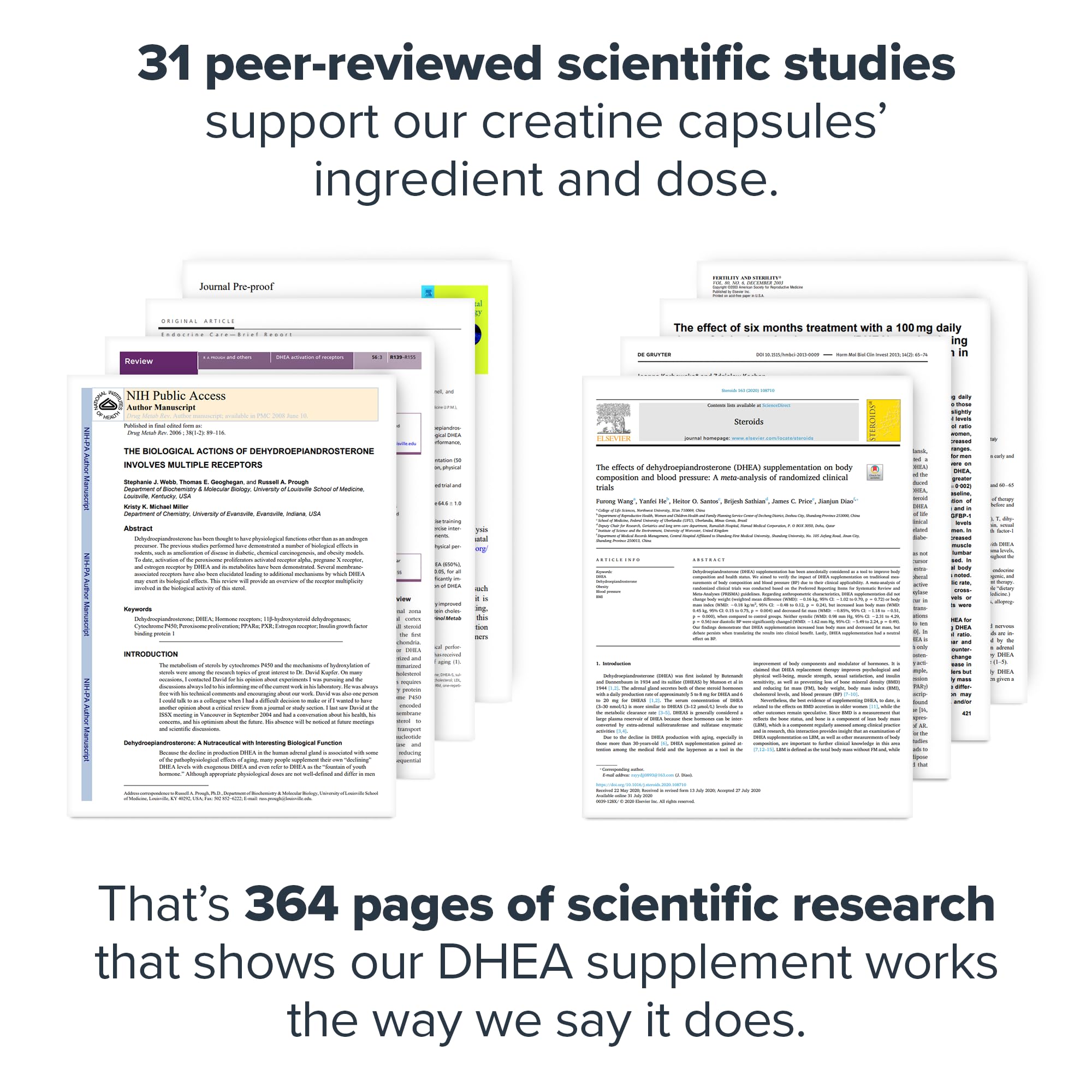 LEGION DHEA on a clean counter suggests daily wellness routine.