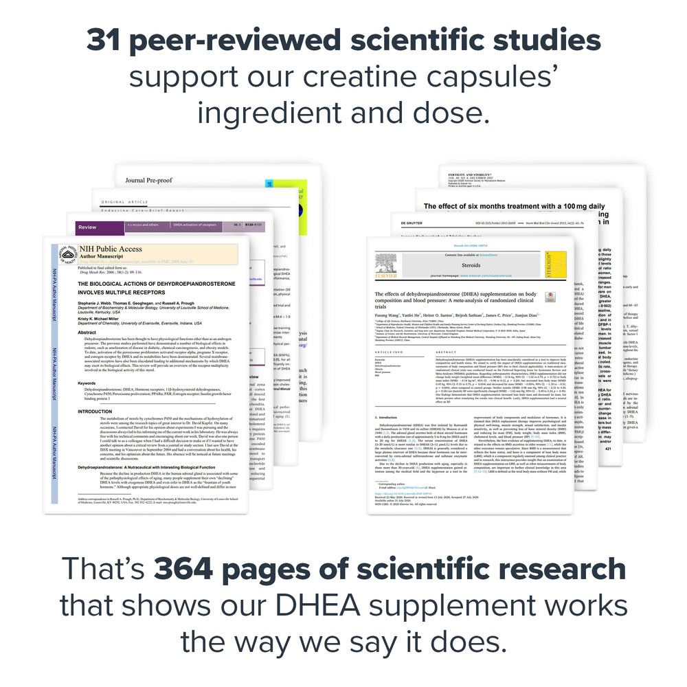 LEGION DHEA on a clean counter suggests daily wellness routine.
