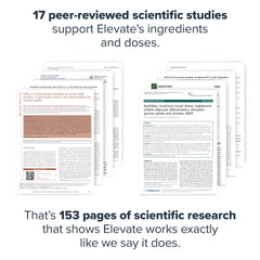 LEGION Elevate close-up of lion's mane and reishi textures emphasizing real mushrooms