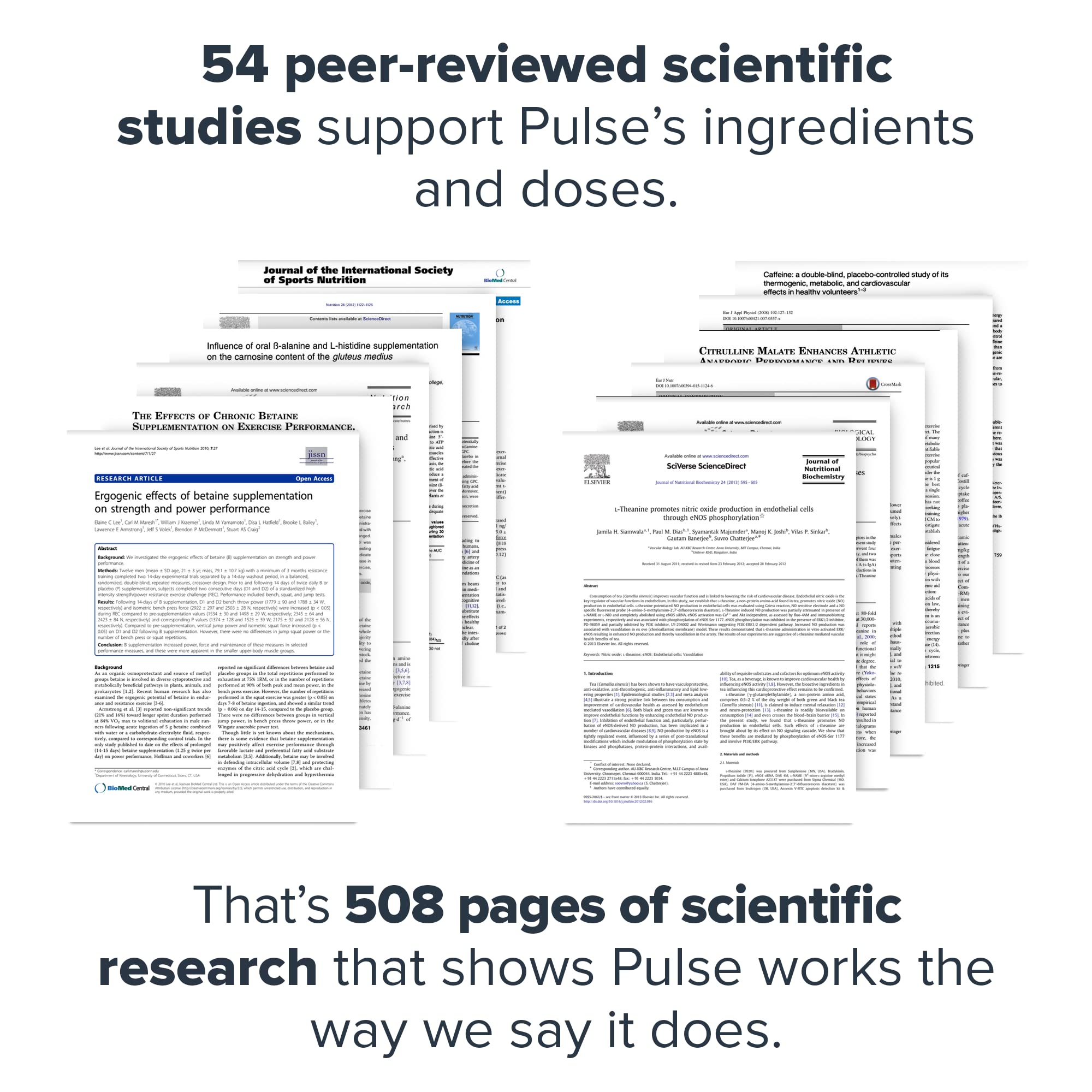 LEGION Pulse label closeup highlights transparent ingredients
