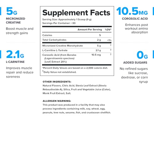 LEGION Recharge micronized creatine powder for smooth mixability.