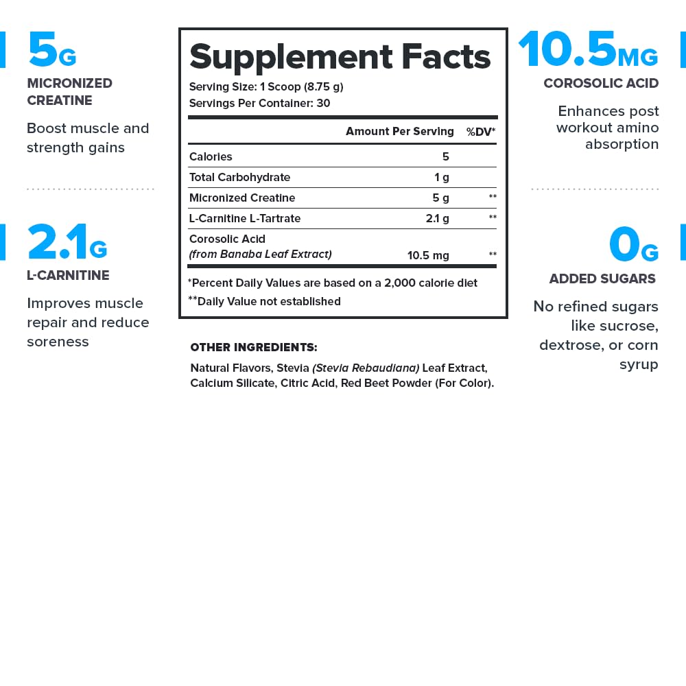 LEGION Recharge scoop highlights micronized creatine for easier mixing and absorption.