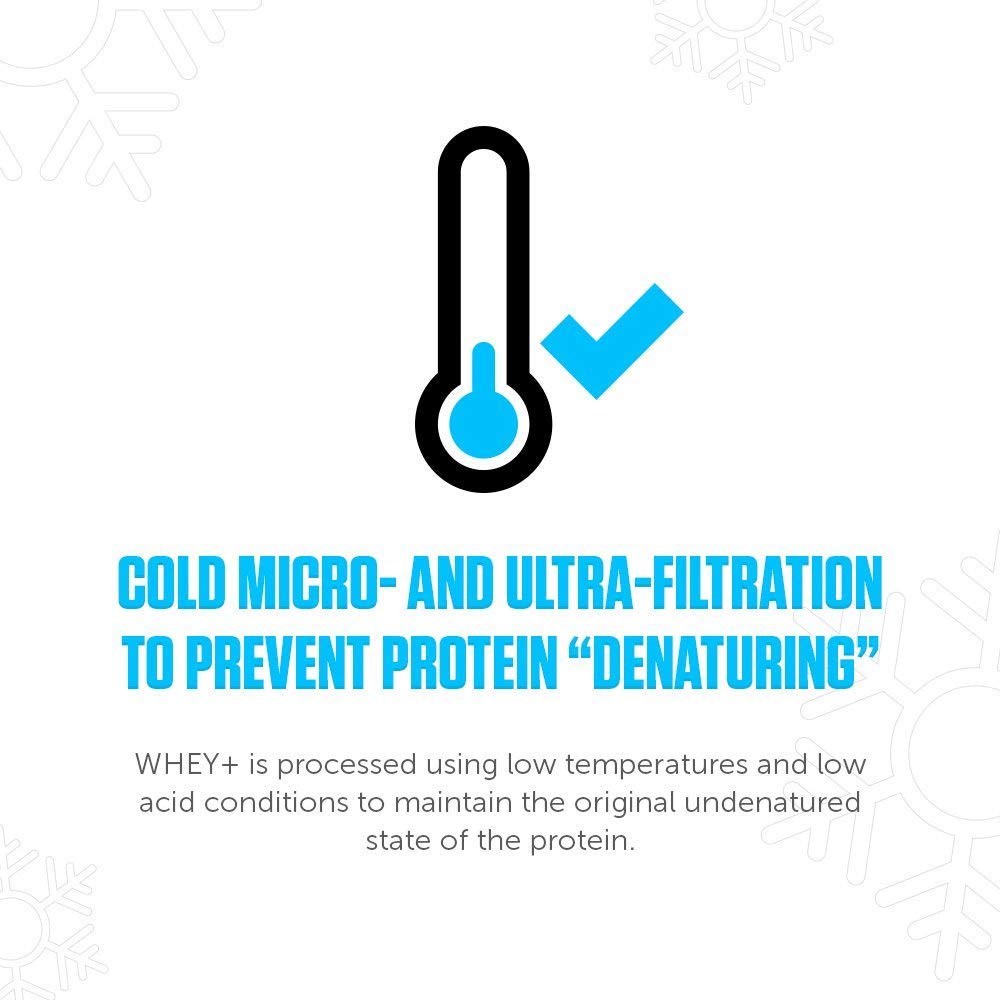 LEGION Whey+ measuring scoop pours into a glass, ready for a protein boost.