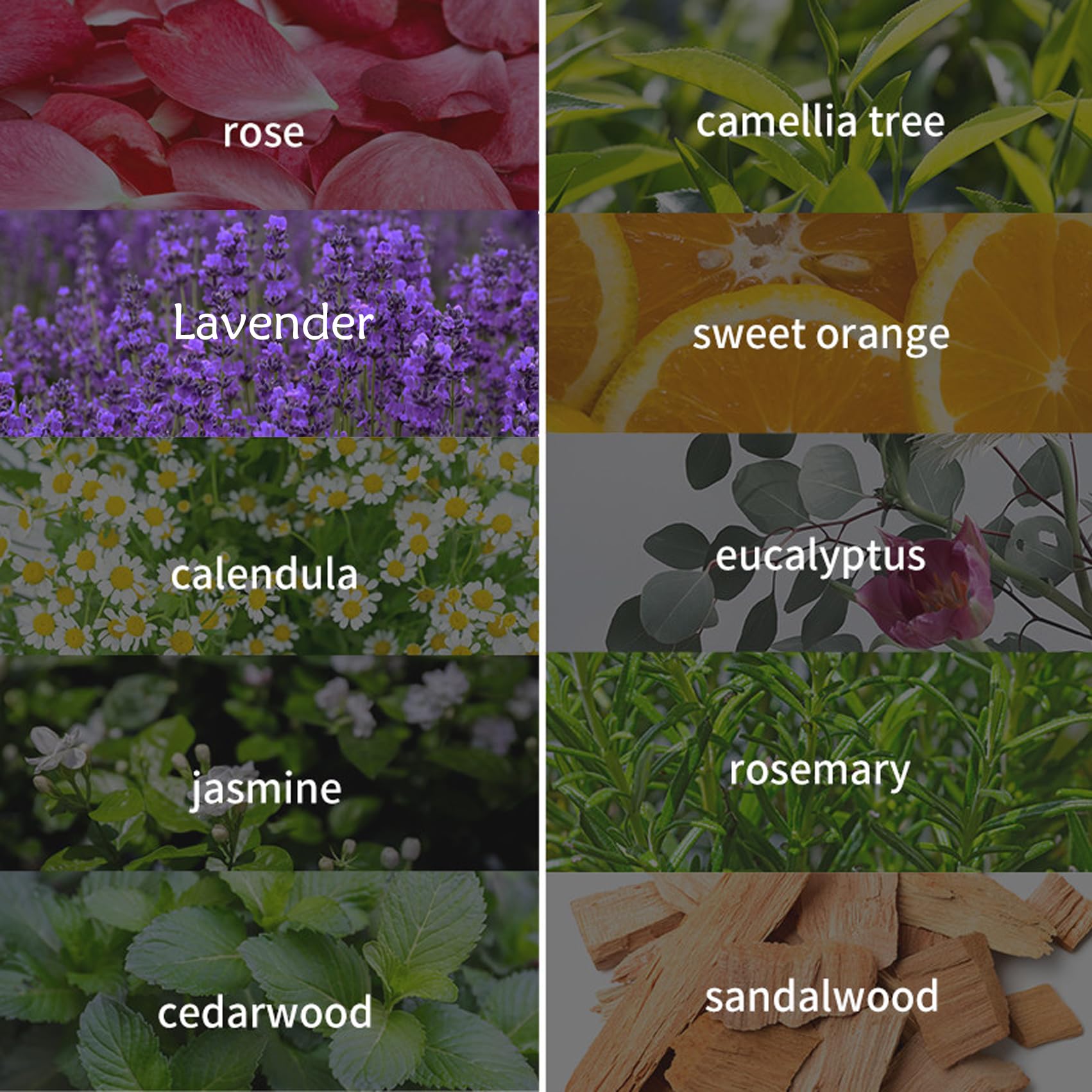 LEHOYIANG lavender oil for diffuser creates a calming room atmosphere.