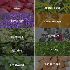 LEHOYIANG lavender oil for diffuser creates a calming room atmosphere.