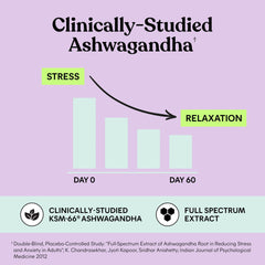Lemme Chill lemon-balm gummies suggesting soothing calm for daytime stress.