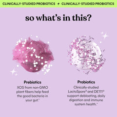Lemme Debloat probiotics visual highlights LactoSpore and DE111.