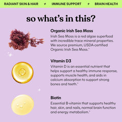 Lemme Irish Sea Moss seaweed texture highlighting organic harvest