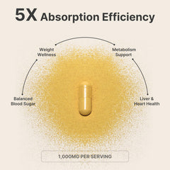 Leotri Berberine capsules closeup emphasizes easy-to-swallow form for consistent use.