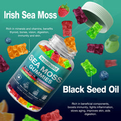 Letollhold Sea Moss Gummies pack shot for convenient vegan daily use.