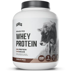 Levels Grass Fed Whey Chocolate Mocha powder ready for a smooth protein shake