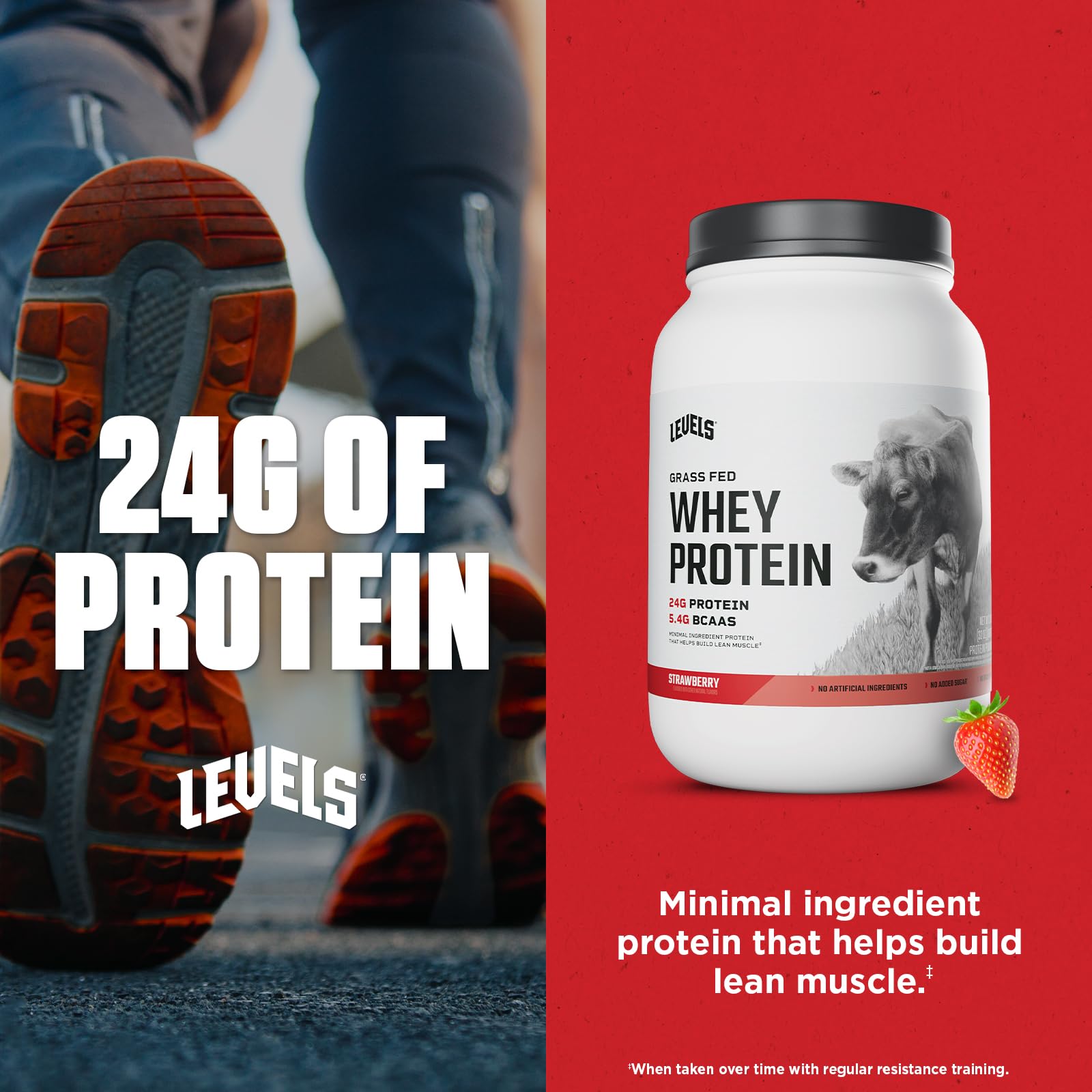 Levels Nutrition whey bottle with shaker demonstrates easy mixing for workouts