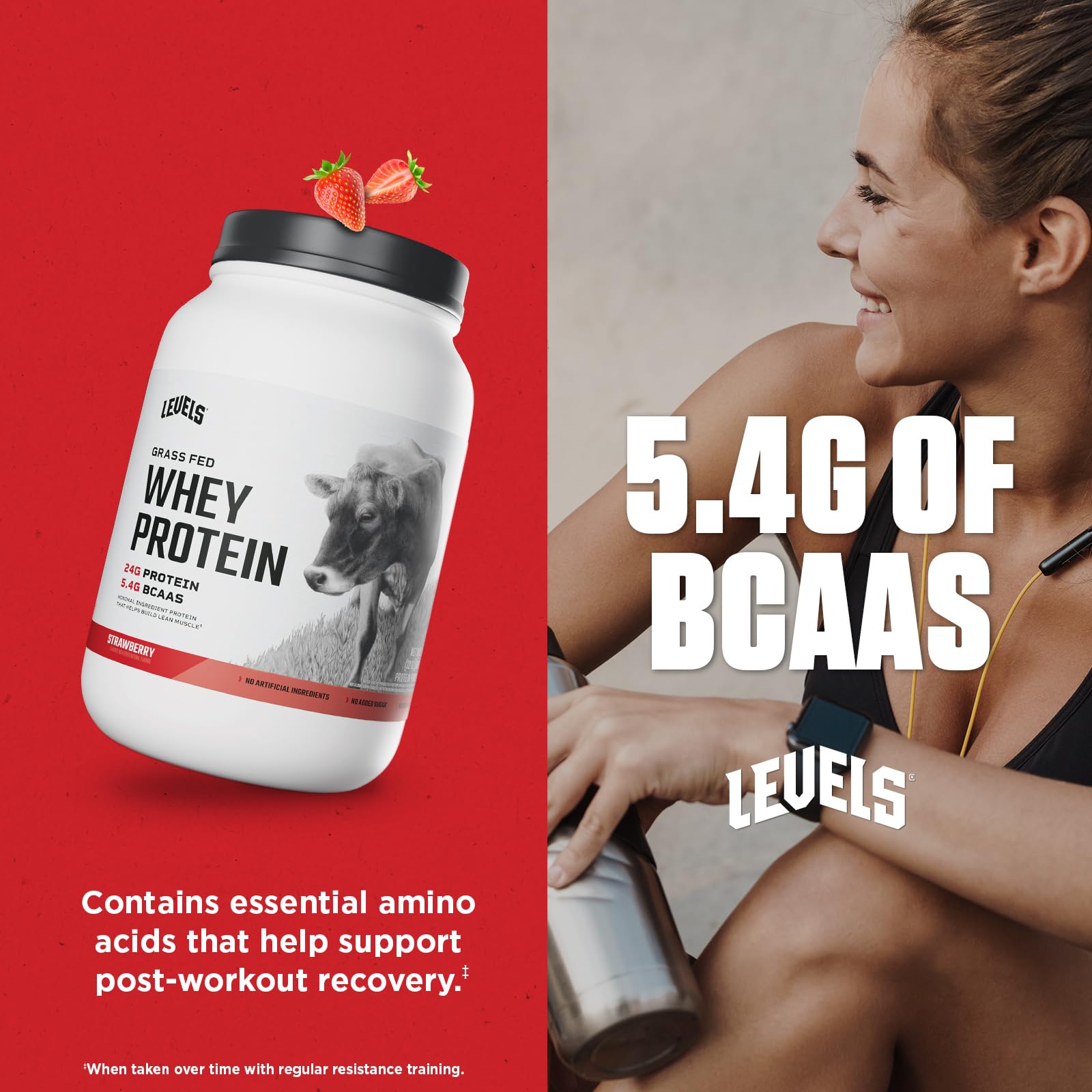 Levels Nutrition USA-made whey bottle underlines quality ingredients and processing