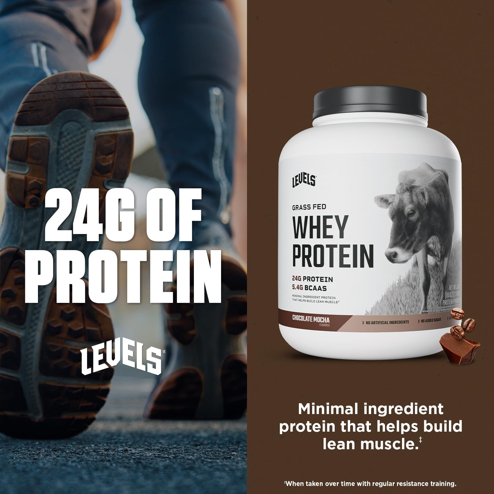 Levels Whey protein scoop delivering 24g protein per serving