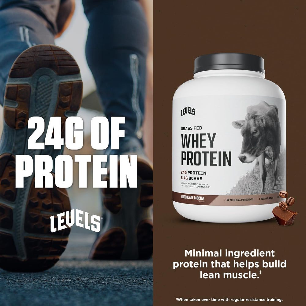 Levels Whey protein scoop delivering 24g protein per serving