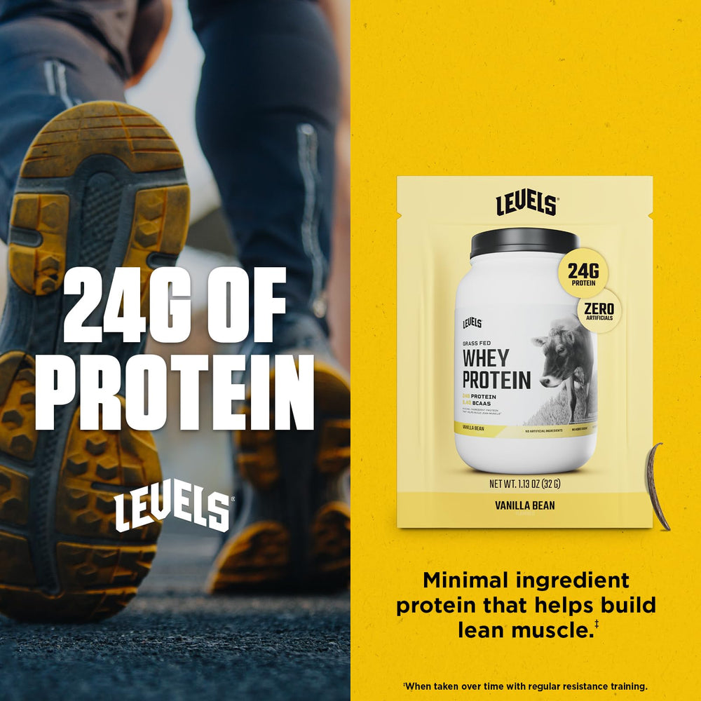 Levels Vanilla Bean whey powder near oats for a protein-packed breakfast