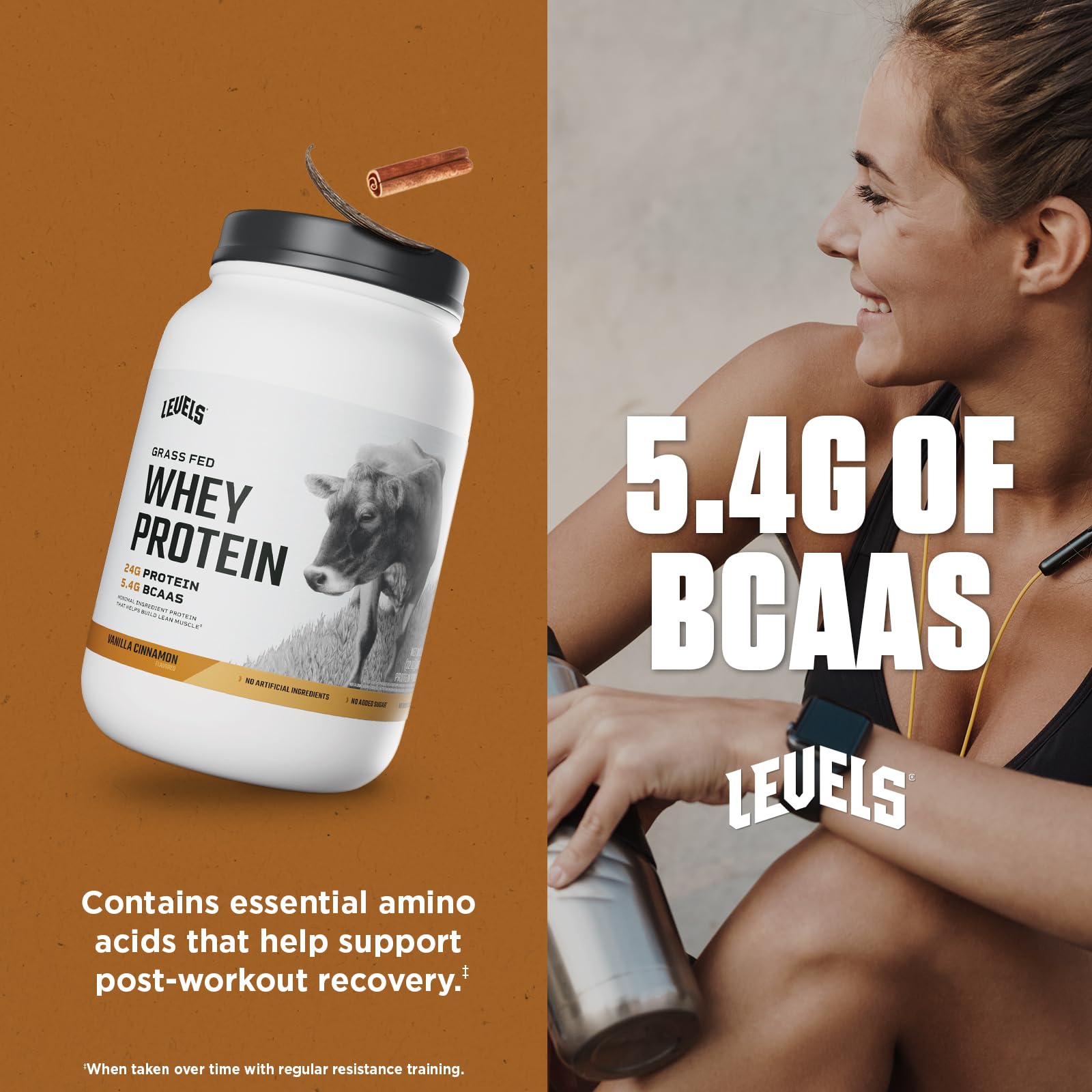Levels Whey Protein Vanilla Cinnamon ingredients on a clean label.