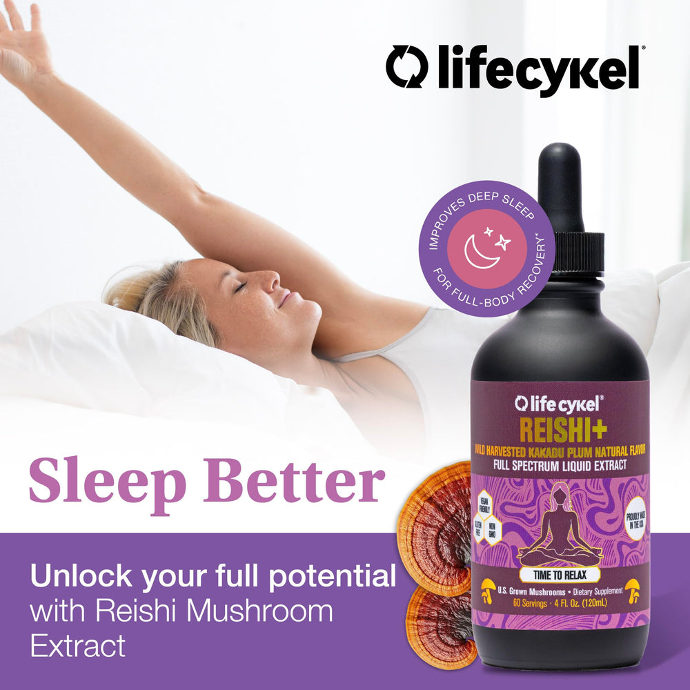 Life Cykel reishi close-up emphasizes earthy aroma and resinous texture.