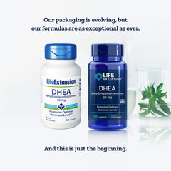 Life Extension DHEA 50 mg capsules in two-pack, convenient daily supplement option