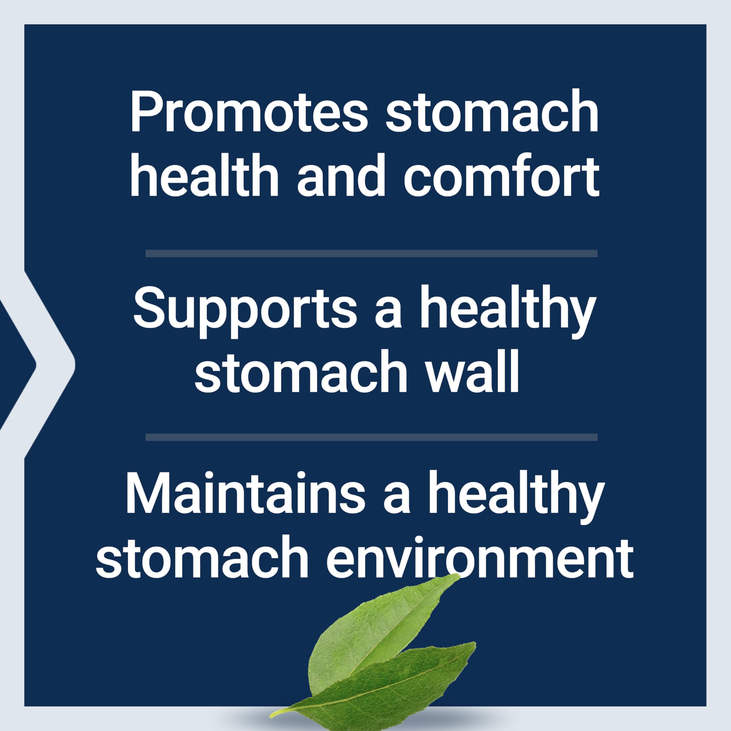Life Extension Gastro-Ease with Pylopass probiotic supports stomach lining