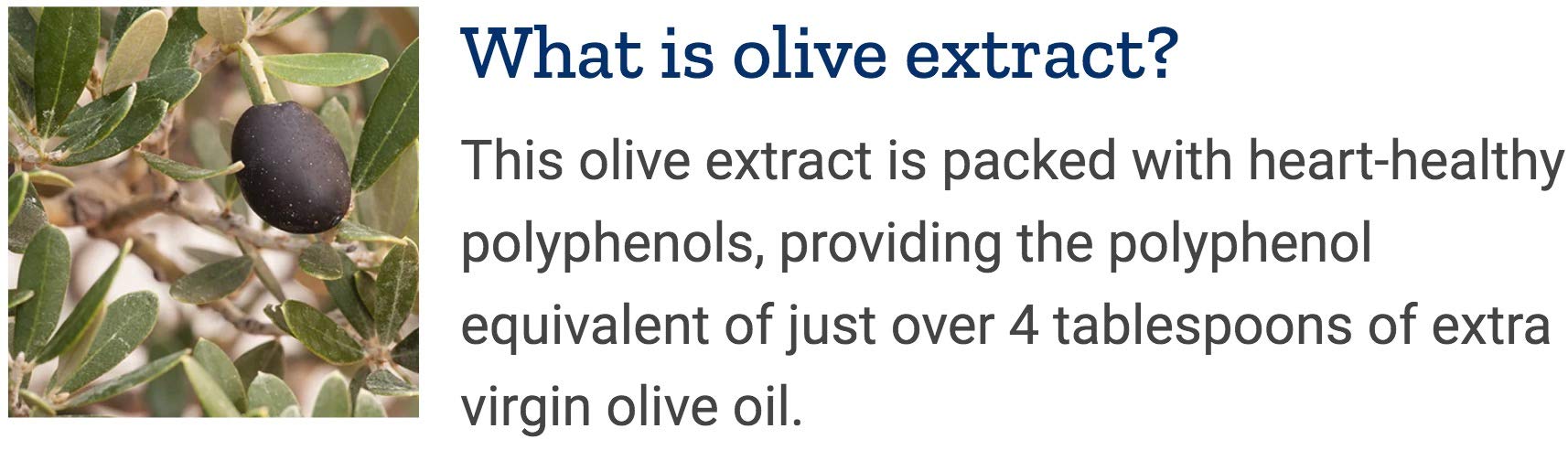 Life Extension sesame lignans feature enhances the fish oil blend for potential added freshness.
