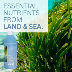 Life Force Balance inner leaf aloe vera highlights nutrient-dense texture