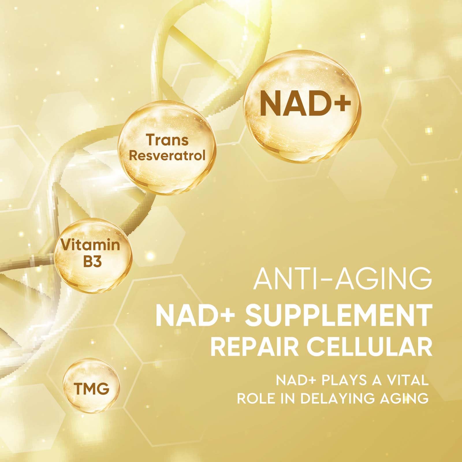 Life Nutrition NAD+ daily-dose pill-count demonstrates consistent regimen.