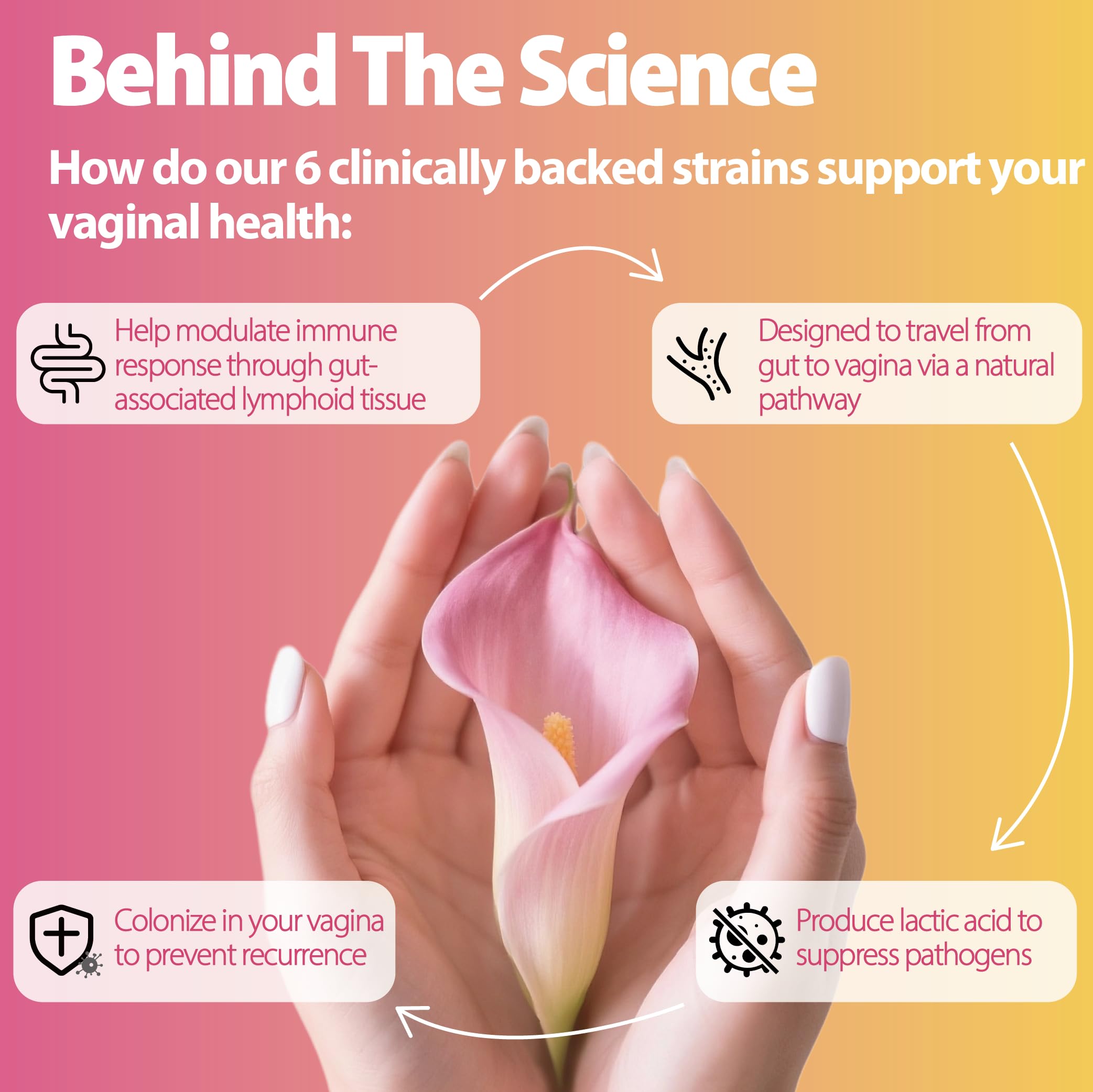 Life-Space Probiotic six-strains graphic emphasizing targeted vaginal health